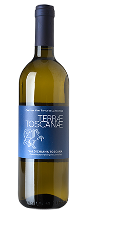 Valdichiana Toscana DOC Bianco 2024