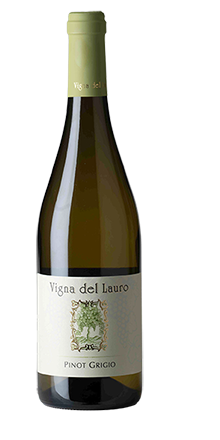 Pinot Grigio Collio DOP 2025