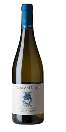 Chardonnay Friuli Venezia Giulia DOP 2025