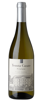 Friulano Friuli Isonzo DOC 2025