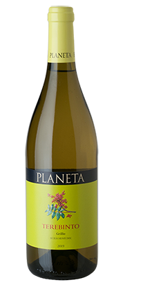 Sicilia Menfi Grillo DOC Terebinto 2025