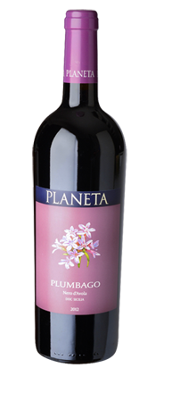 Sicilia Nero d` Avola DOC Plumbago 2022
