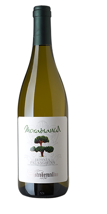 Irpinia Falanghina DOC Morabianca 2024