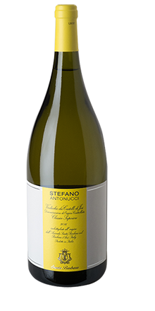 Verdicchio Jesi Class. Sup. DOC S. Antonucci 23