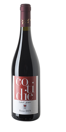 Cotidie Rosso IGP 2020 - jetzt 12,00 € statt 19,30 €