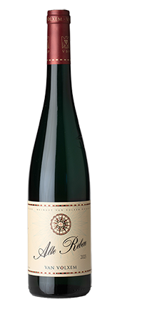 Alte Reben Riesling trocken 2024