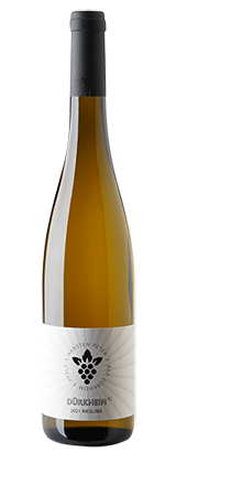 Dürkheim 1C Riesling 2022