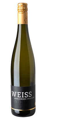 Weißburgunder trocken 2025