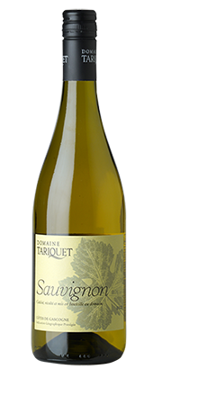 Côtes de Gascogne IGP Sauvignon 2024