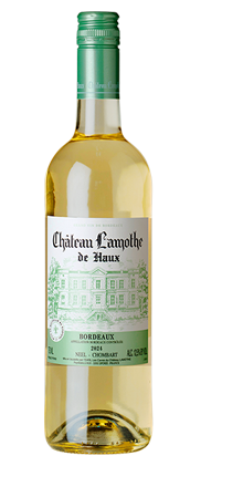 Château Lamothe Bordeaux blanc AC 2024