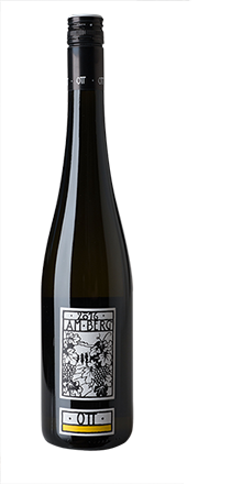 Grüner Veltliner Am Berg 2024