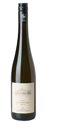 Grüner Veltliner Steinfeder Ried Alte Point 2023